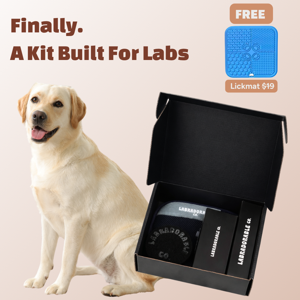 LabraFur Lifestyle Kit