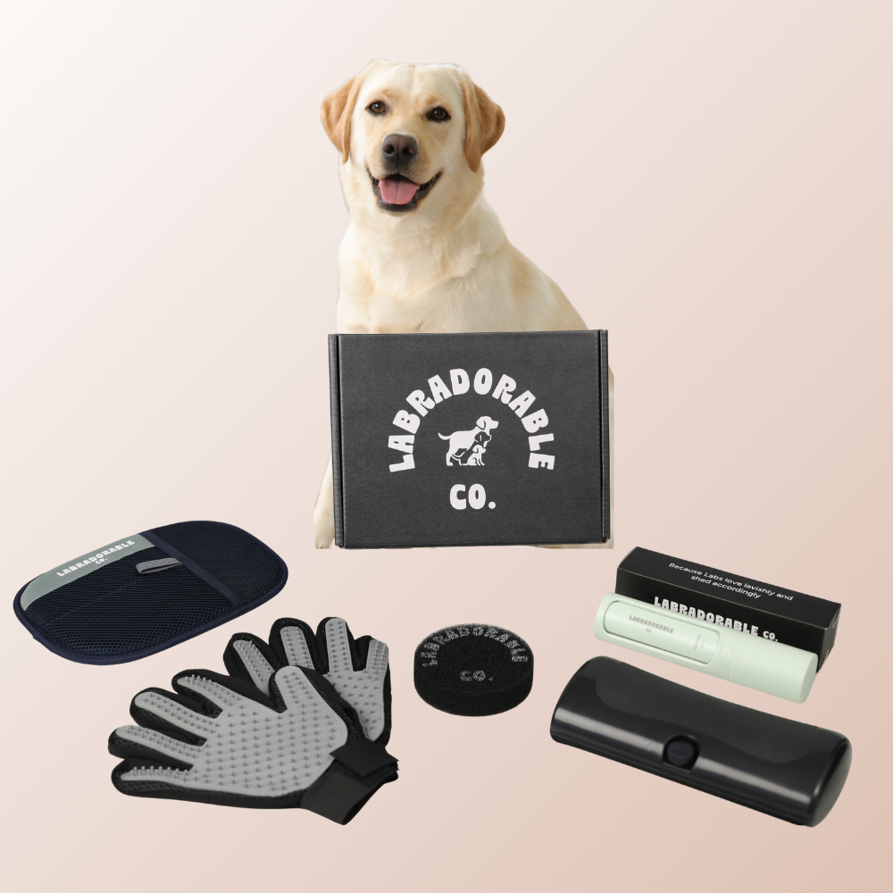 LabraFur Lifestyle Kit
