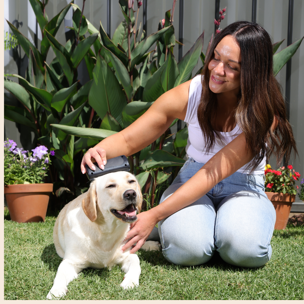 LabraFur Deshedding Brush