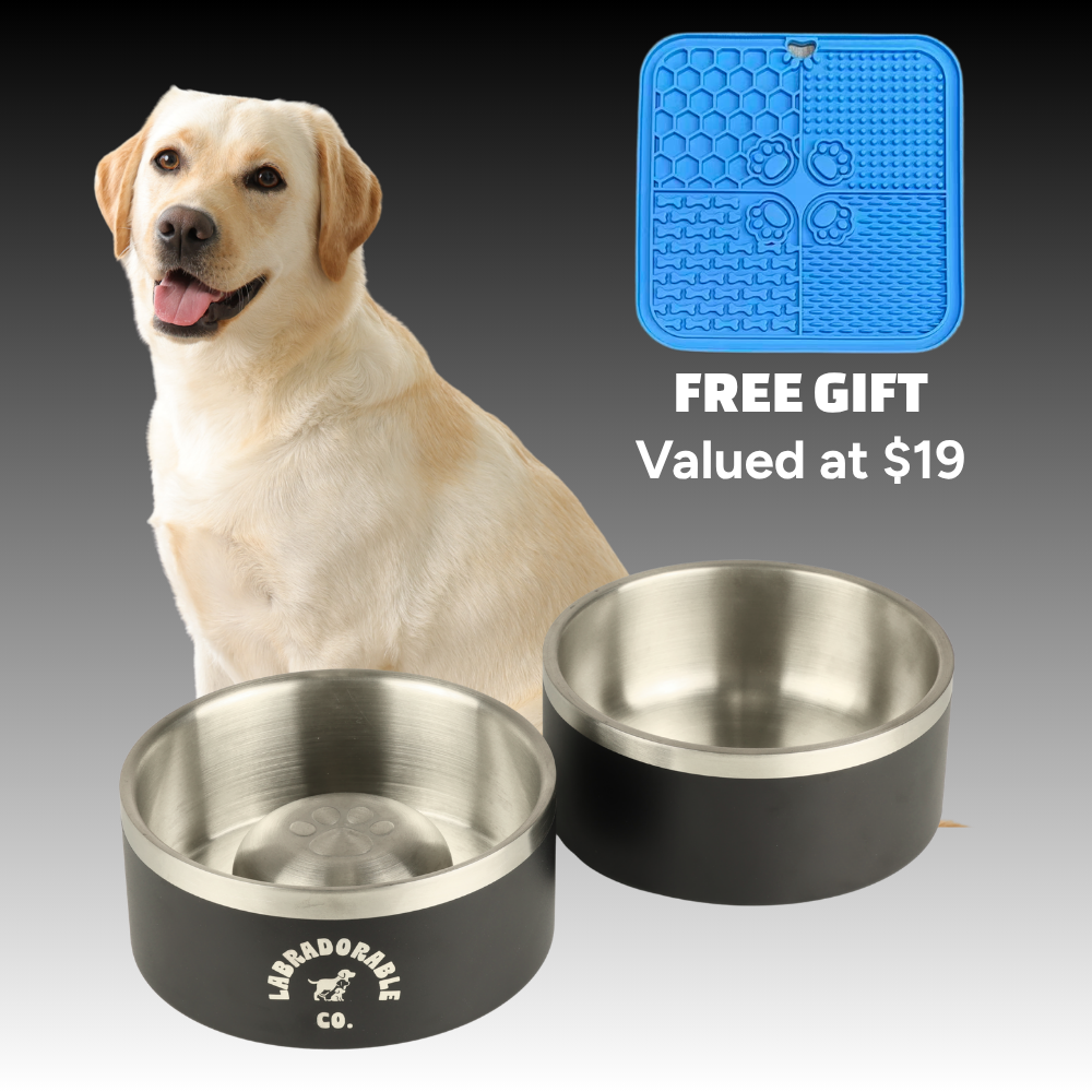The Mealtime set