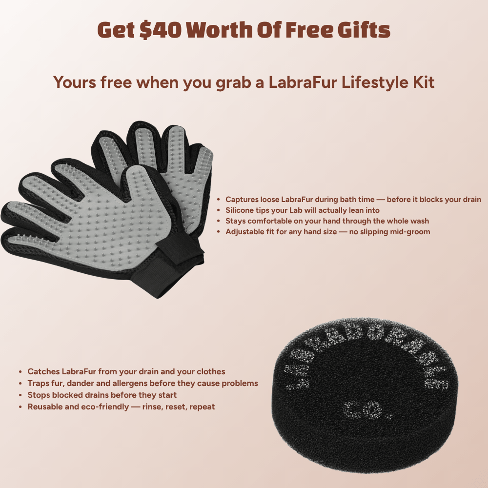 LabraFur Lifestyle Kit
