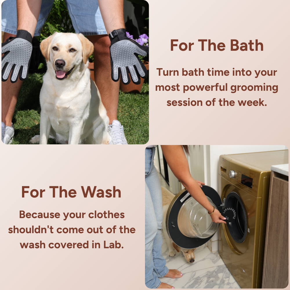 LabraFur Lifestyle Kit