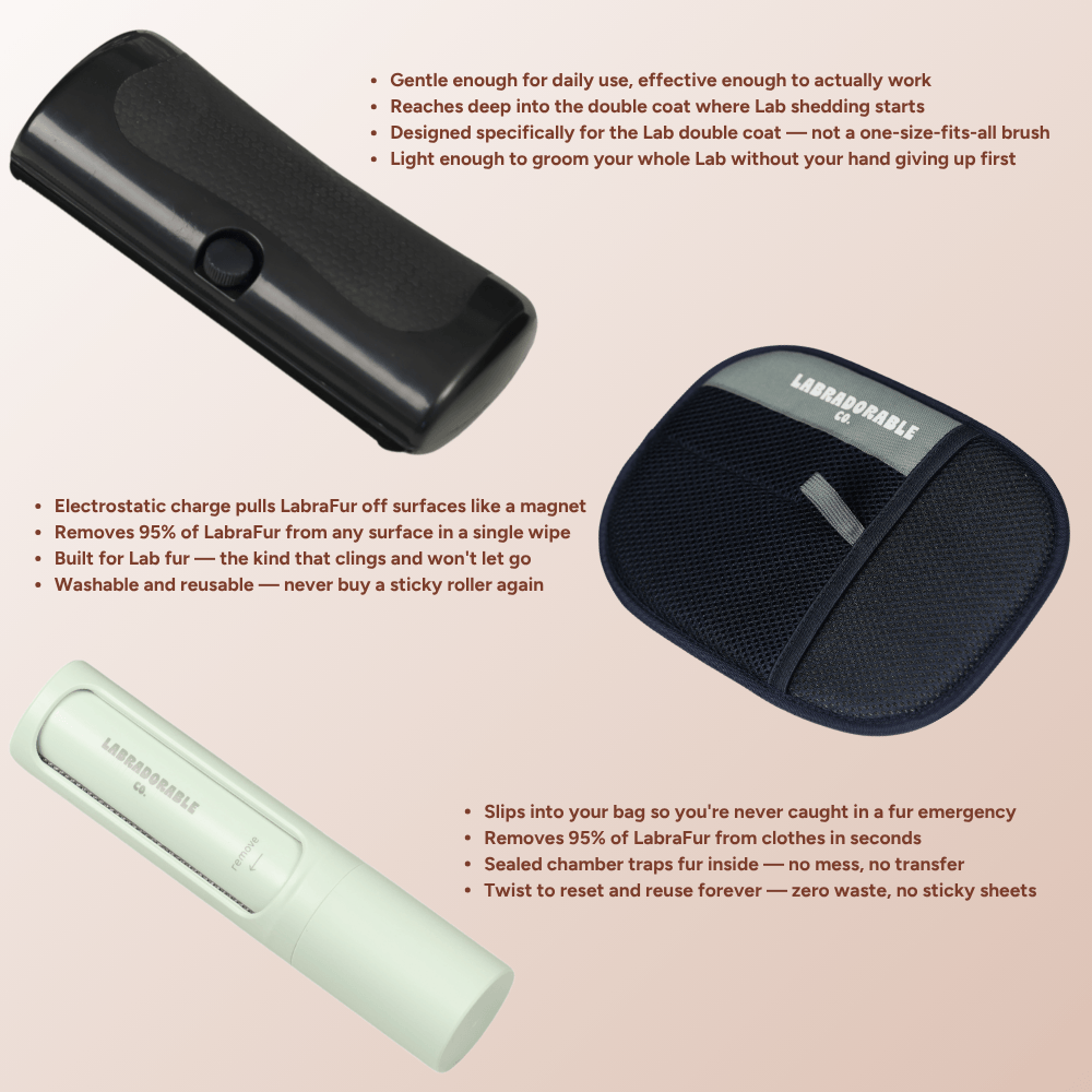 LabraFur Lifestyle Kit