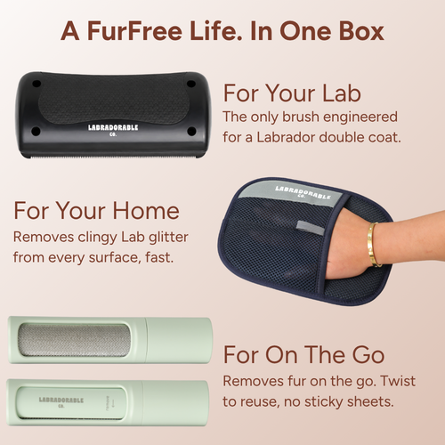LabraFur Lifestyle Kit contents
