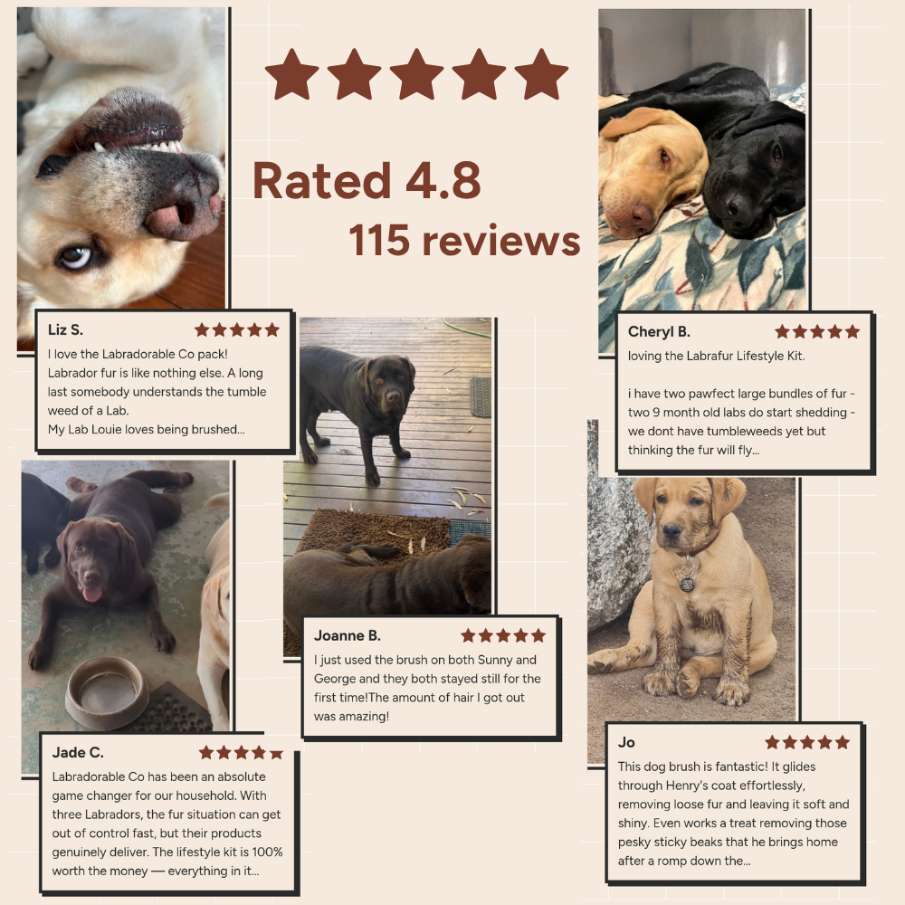 LabraFur Lifestyle Kit