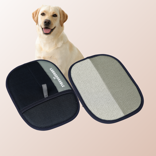 LabraFur Remover Mitt