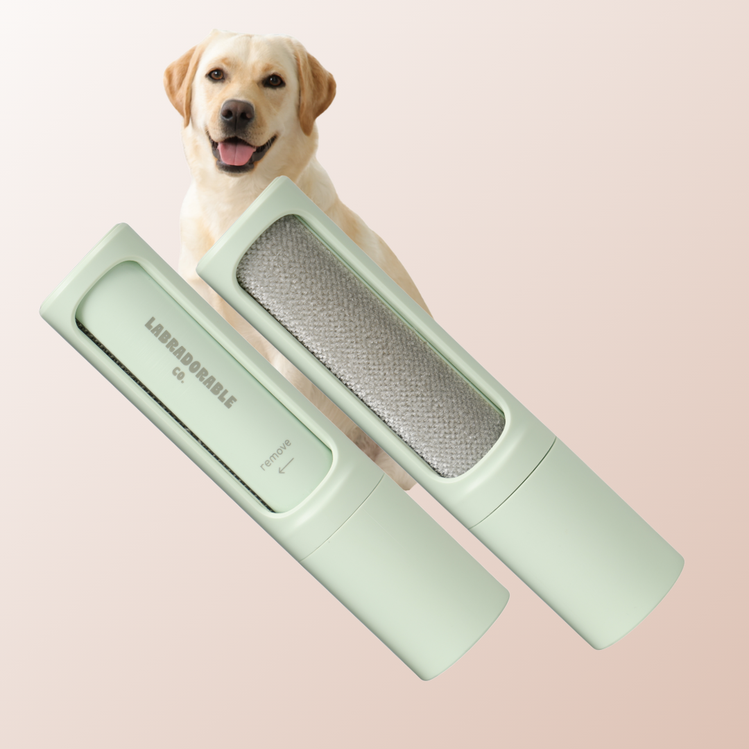 Portable LabraFur Remover