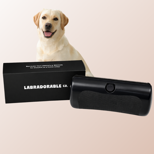 LabraFur Deshedding Brush