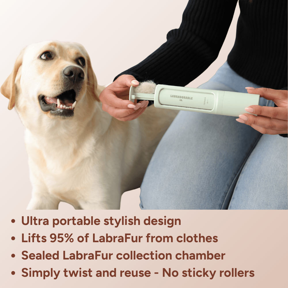 Portable LabraFur Remover