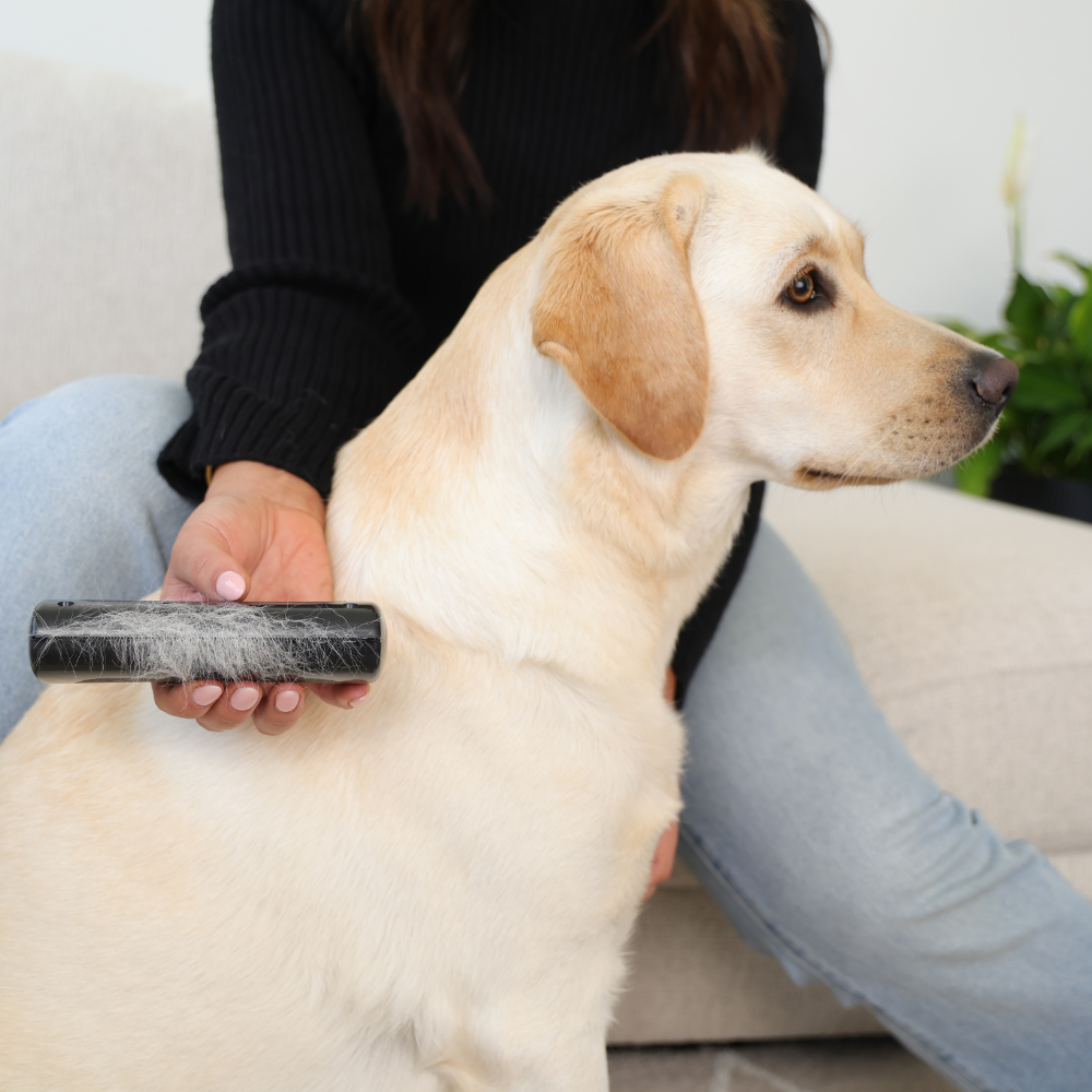 LabraFur Deshedding Brush