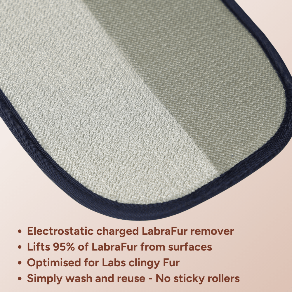 LabraFur Remover Mitt