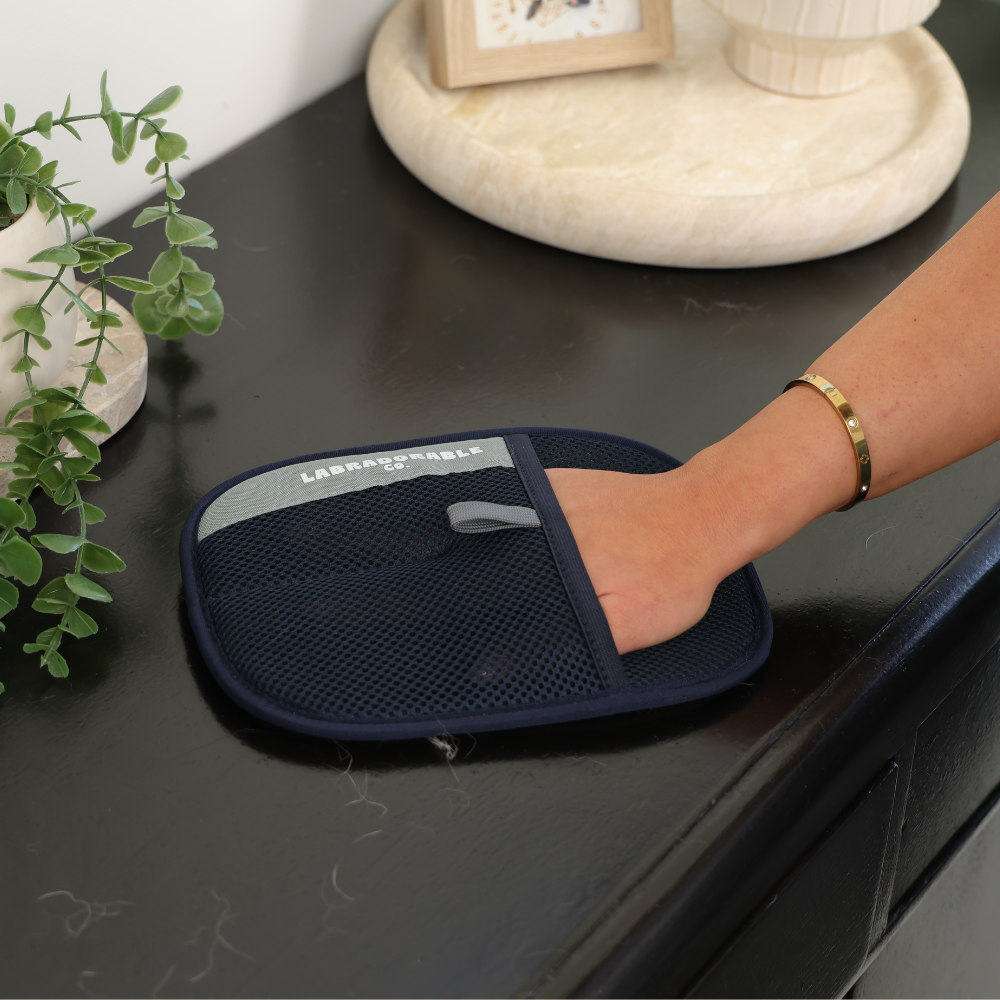 LabraFur Remover Mitt