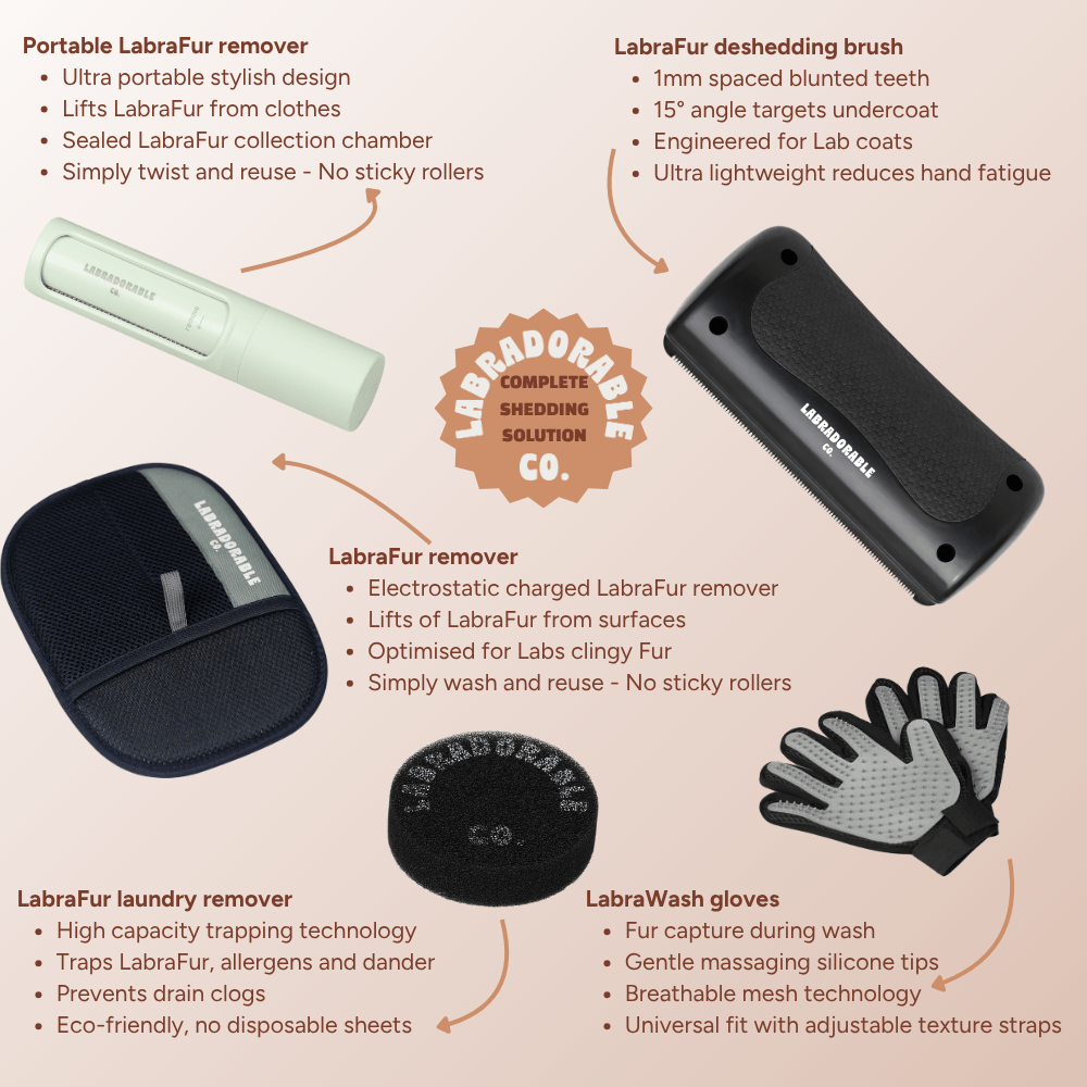 The Lab Essentials Bundle