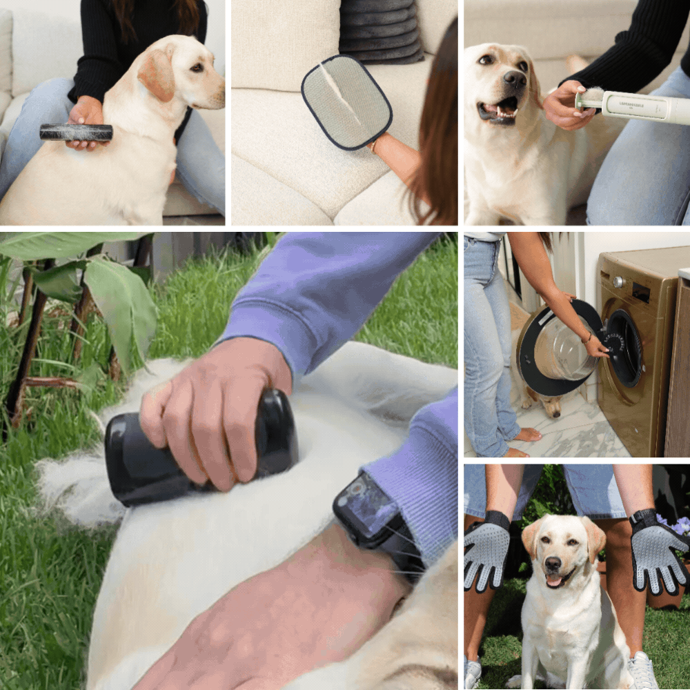 LabraFur Lifestyle Kit