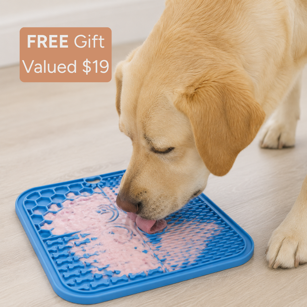 LabraFur Lifestyle Kit