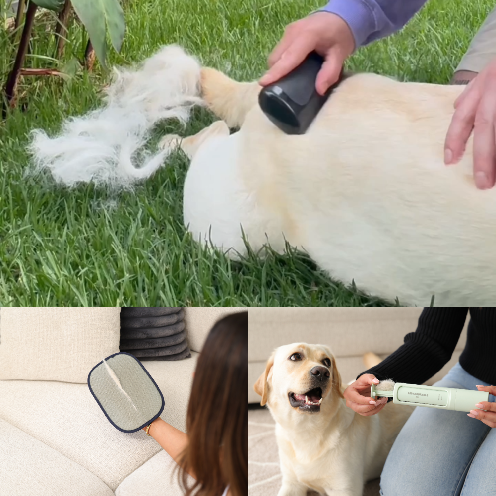 LabraFur Lifestyle Kit
