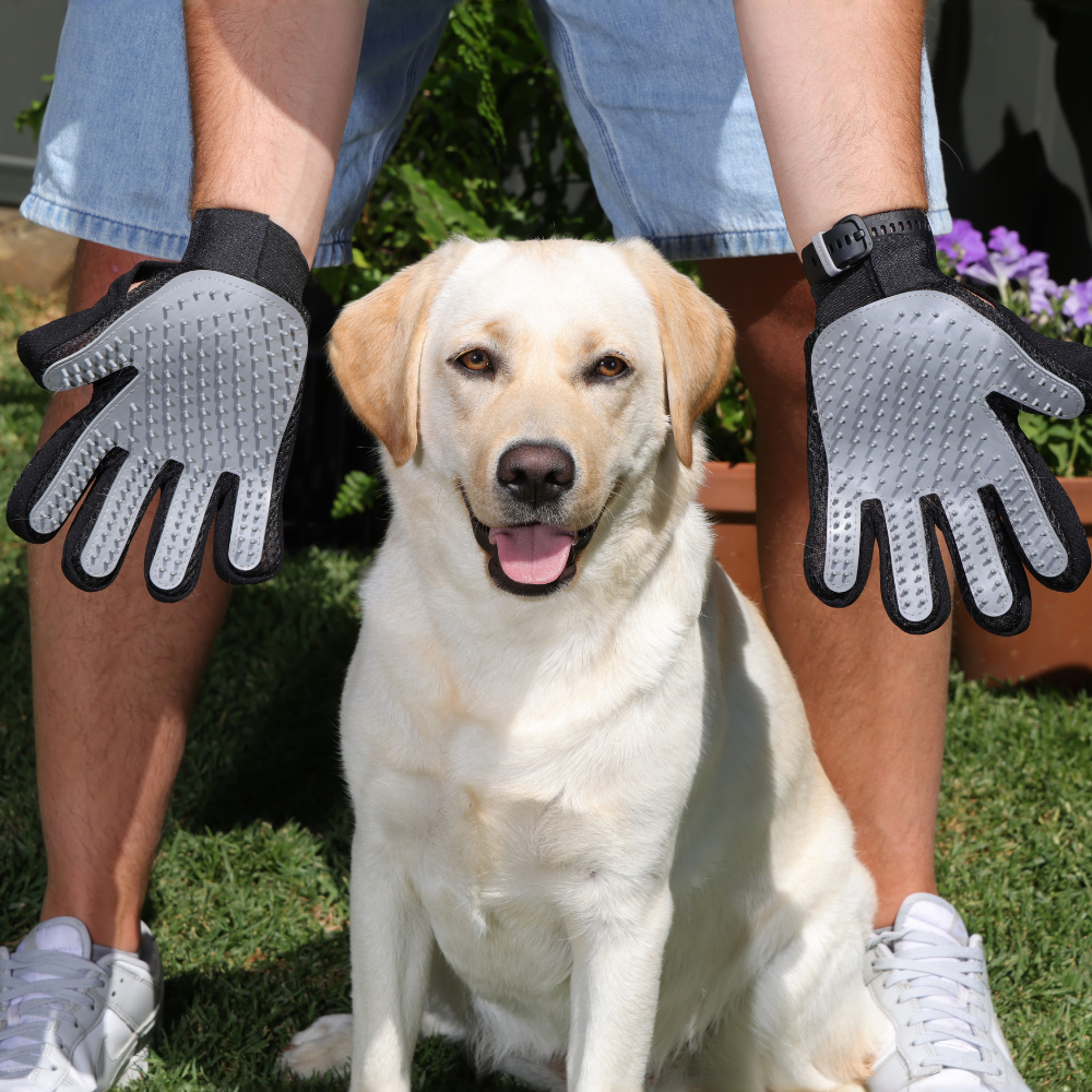 LabraFur Wash Gloves