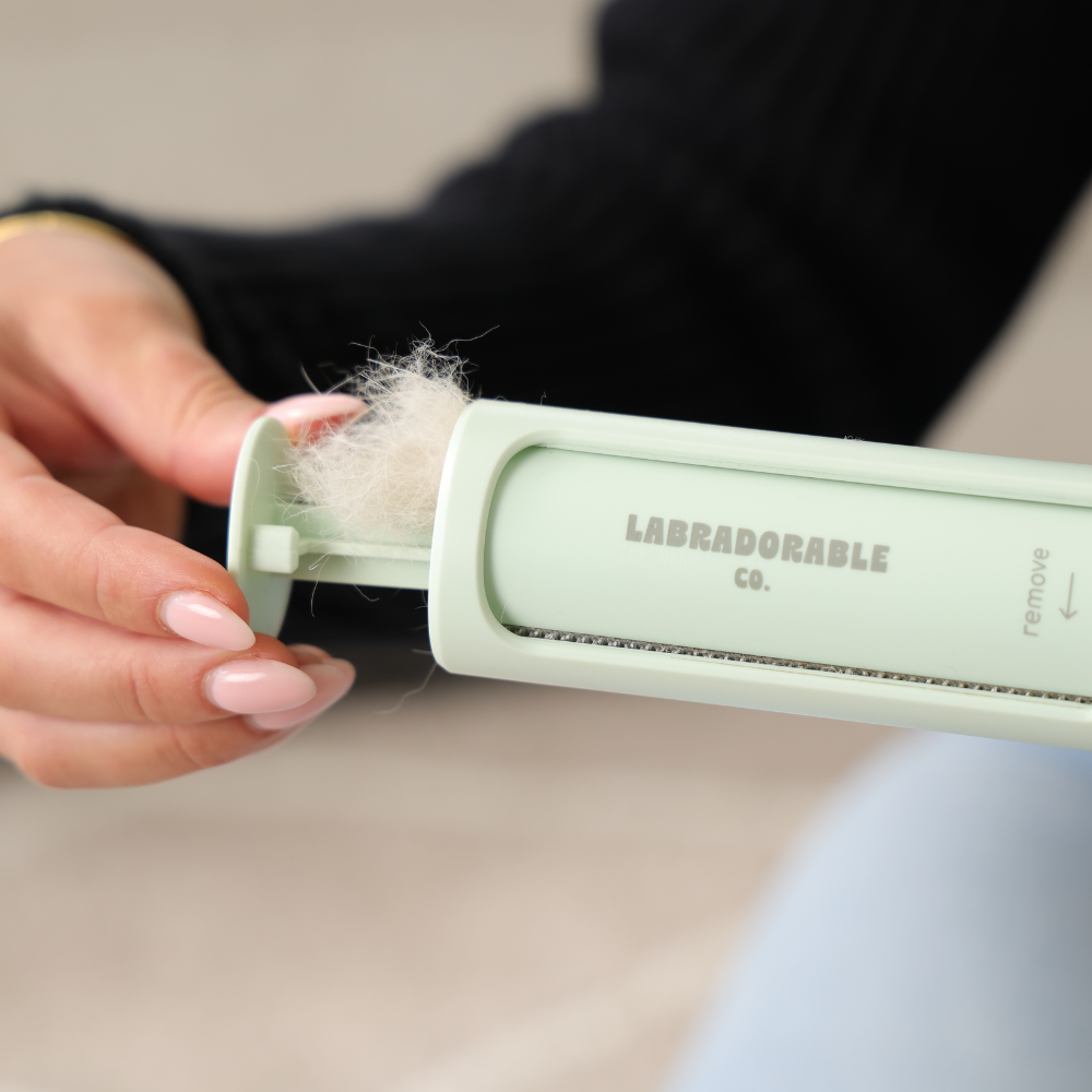 Portable LabraFur Remover