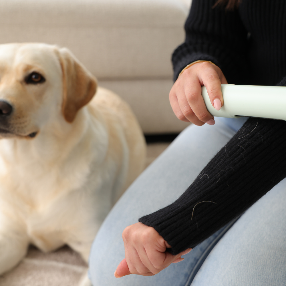 Portable LabraFur Remover